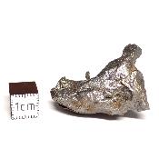 Météorite Sidérite Sikhote-Alin 15177