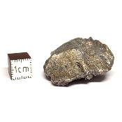 Météorite Sidérite Sikhote-Alin 15178