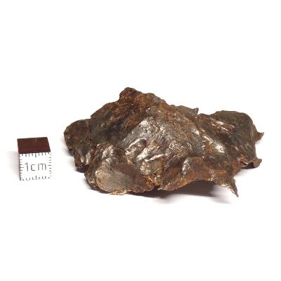 Météorite Sidérite Sikhote-Alin 15183