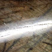 Labradorite Forme Libre 15369