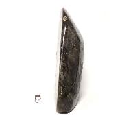 Labradorite Forme Libre 15377