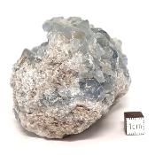 Célestine Pierre brute 15730