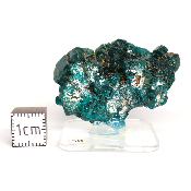Dioptase Pierre Brute 15781
