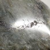 Labradorite Forme Libre 15836