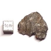 Météorite Sidérite Sikhote-Alin 15980