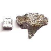 Météorite Sidérite Sikhote-Alin 15993