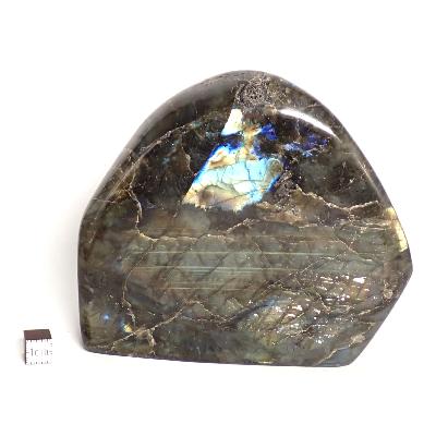 Labradorite Forme Libre 2033