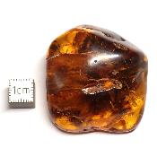Ambre de la Baltique morceau poli 2038