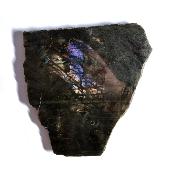 Plaque en Labradorite 20408