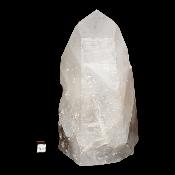 Cristal de Roche Amas 2104