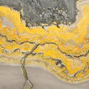 Jaspe Abeille Plaque 2281