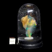 Opale d'Ethiopie Pierre Brute 2298