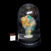 Opale d'Ethiopie Pierre Brute 2298