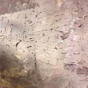 Super Seven Plaque 2365