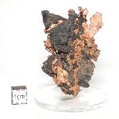 Cuivre Natif pierre brute 2586