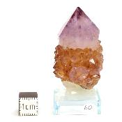 Cristal Cactus Brute 2728