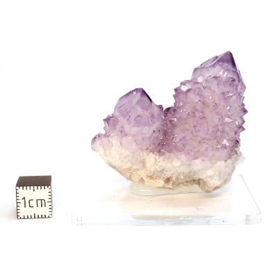 Cristal Cactus Brute 2729