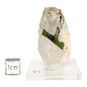 Tourmaline Verte sur gangue pierre brute 2966