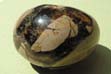 Septaria