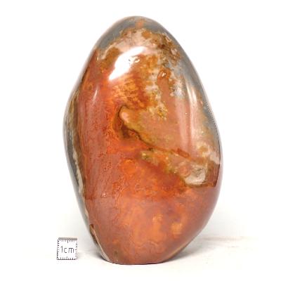 Jaspe Polychrome Forme Libre 0066