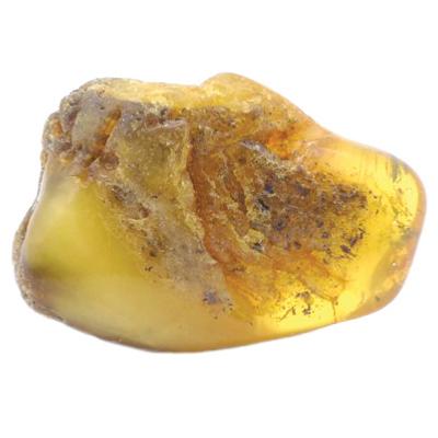Ambre de la Mer Baltique