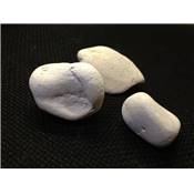 Pumice Stone Pierre Brute