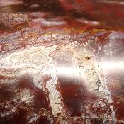 Bois Fossile Forme Libre 04071