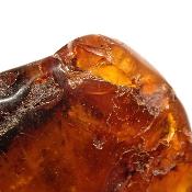 Ambre de la Baltique morceau poli n° 05949