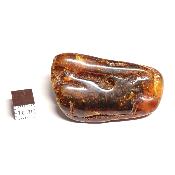 Ambre de la Baltique morceau poli n° 05952