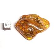 Ambre de la Baltique morceau poli n° 05955