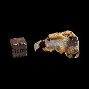 Opale d'Ethiopie - 27.30 carats - 07815