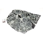 Diorite Orbiculaire Plaque 0125