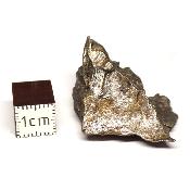 Météorite Sidérite Sikhote-Alin 15160