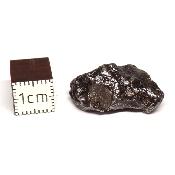 Météorite Sidérite Sikhote-Alin 15167
