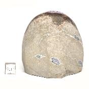 Améthyste du Brésil Mini géode 15450