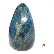 Apatite Bleue Forme Libre 15552