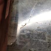 Labradorite Forme Libre 15833