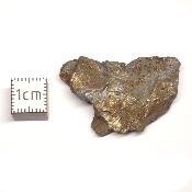 Météorite Sidérite Sikhote-Alin 15995