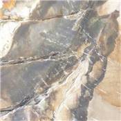 Bois Fossile Plaque 18418