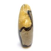 Septaria Forme Libre 19996