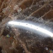 Pierre de lune noire coeur 2259