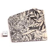 Pinolite Plaque 2333