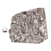 Pinolite Plaque 2340