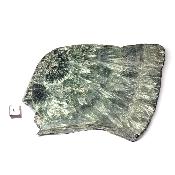 Seraphinite Plaque 2356