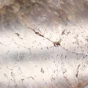 Super Seven Plaque 2361