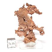 Cuivre Natif pierre brute 2579