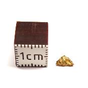 Pépite d'Or 2658