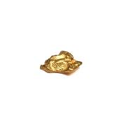 Pépite d'Or 2660