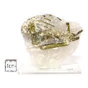 Tourmaline Verte sur gangue pierre brute 2967
