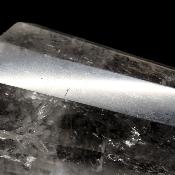 Cristal Vogel 3036